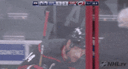 Ice Hockey Sport GIF by NHL