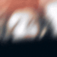 Olympic Gold Olympics GIF