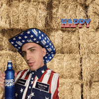 Independence Day America GIF by petey plastic