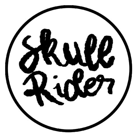 fashion sunglasses Sticker by Skull Rider