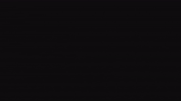 alancaravantes art film nature sun GIF
