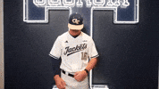 Georgia Tech Baseball GIF by Georgia Tech Yellow Jackets