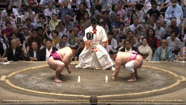 TZ85 giphyupload GIF