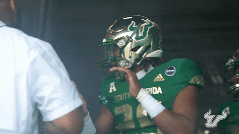 College Football GIF by USF Athletics