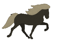 Wind Pony Sticker by winterlichtmalerei