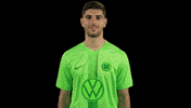 Bundesliga Applause GIF by VfL Wolfsburg