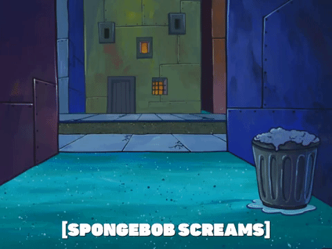 season 5 GIF by SpongeBob SquarePants