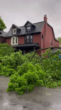 Strong Storms Cause Havoc in Ontario