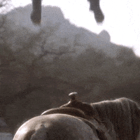 Film Go GIF
