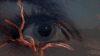 GIF by Slipknot