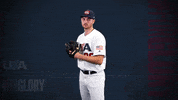 Pro GIF by USA Baseball