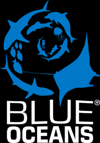 diveschool scuba diving ssi diving school grevelingen GIF