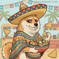 Hungry Tortilla Chips GIF by Doge Pound