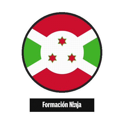 Flag Bandera Sticker by Formación Ninja