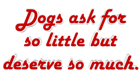 Dog Sticker by OpticalArtInc.