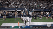 Fly Eagles Fly Football GIF by NFL