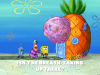 season 4 episode 20 GIF by SpongeBob SquarePants