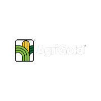 Agriculture Corn Sticker by AgriGold