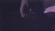 I Love My Dog GIF by Sublime