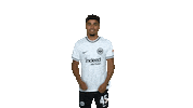 Celebration Goal Sticker by Eintracht Frankfurt