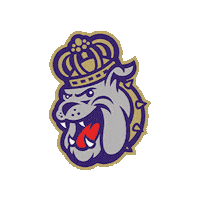 Go Dukes Sticker by James Madison University