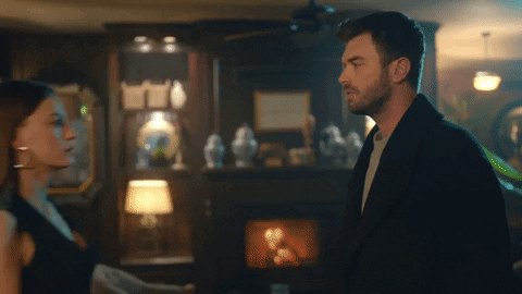 Aile Kivanctatlitug GIF by Show TV