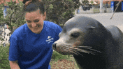 SeaWorld love love you kisses best friend GIF