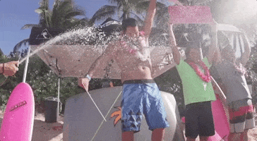 redbull celebrate win winner champagne GIF