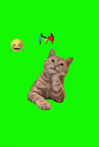 Humor Amigos GIF by Murcianys LLC