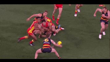 afl gibbs GIF by Adelaide Crows