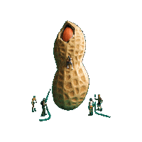 Peanut Butter Nuts Sticker by USA Peanuts