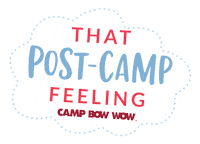 Tired Dog Sleepy Pup Sticker by Camp Bow Wow