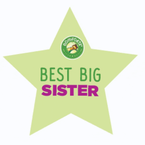 comfortsforbaby giphygifmaker comfortsforbaby kroger comfortsforbaby krogercomforts bigsister sister GIF