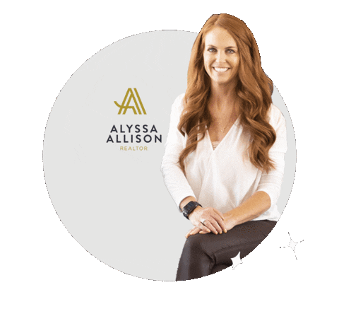 soldbyalyssaallison giphyupload alyssaallison alyssa allison Sticker