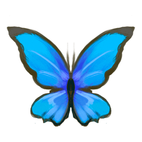Equideow Lowadi Sticker by Owlient