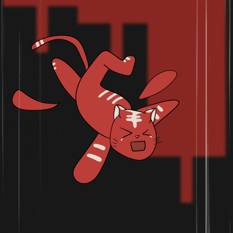 Cat Lol GIF by Kitaro World