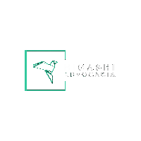 luizhenriquehigashi higashiadvocacia3 Sticker