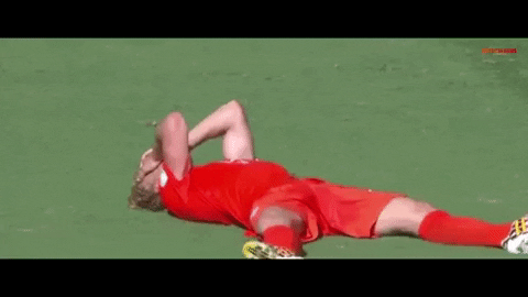 fincrebolder giphygifmaker dirk kuyt GIF