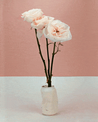 nicolelicht rose handmade floral slime GIF