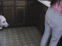 ohh GIF