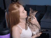 Cat Streamer GIF