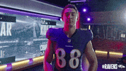 Waving Lets Go GIF by Baltimore Ravens