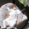 GIF by Martin