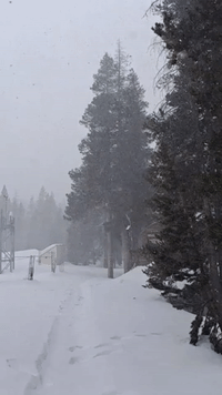 Snow Gathers on California's Sierra Nevada Mountains