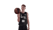 Liga Endesa Spinning Sticker by ACB