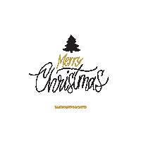 Merry Christmas Sticker by 360 Tour Toronto