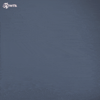 Ana Bogdan Heart GIF by WTA