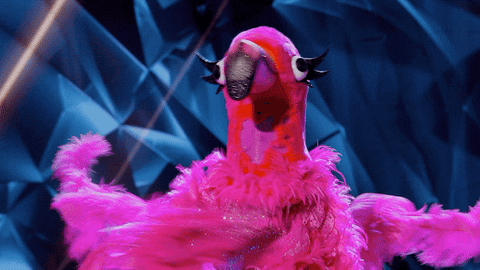 Fox GIF by The Masked Singer