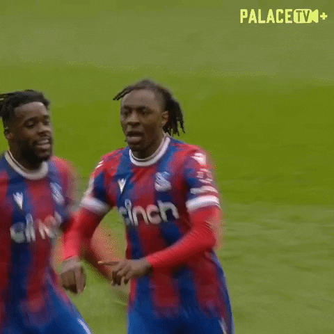 Premier League Sport GIF by Crystal Palace Football Club