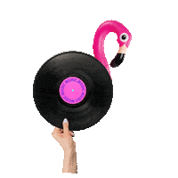 Play It Cool Sticker by Contadi Castaldi